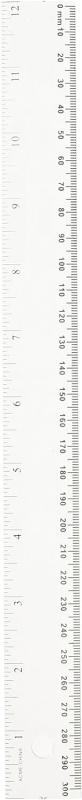 Ruler Plastic 12"