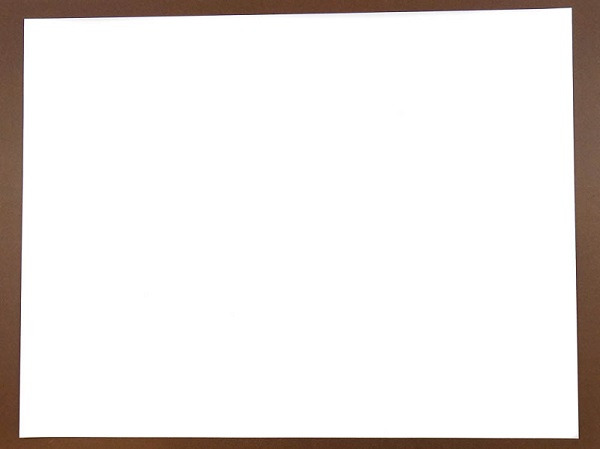 Paper Mayfair Cougar Cover 65# White 130m