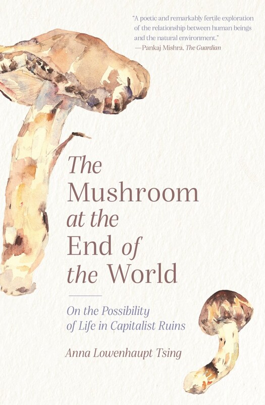 The Mushroom At The End Of The World