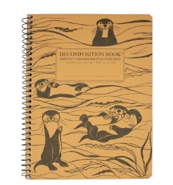 Decomp Notebook Otters