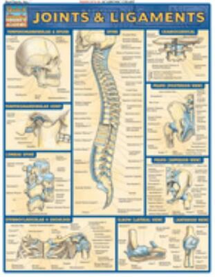 Joints And Ligaments