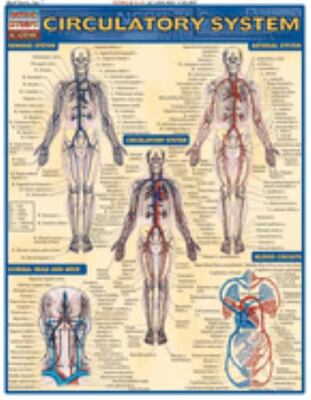 Circulatory System