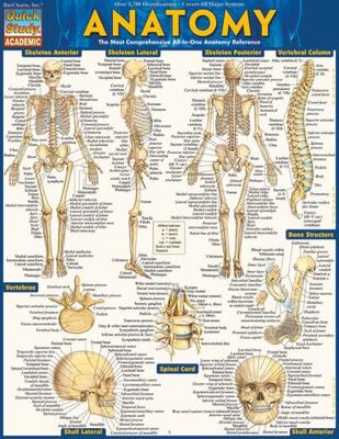 Anatomy - Reference Guide (8.5 X 11)