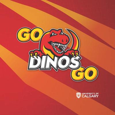 Dinos Rally Towel