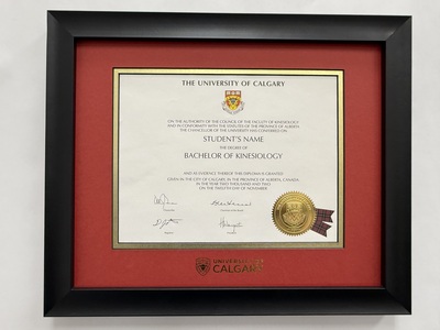 Executive Degree Frame