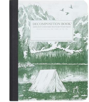 Decomposition Mountain Lake