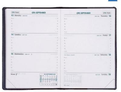 Datebook Sapa X Academic Weekly Freeport Black