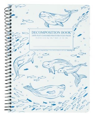 Decomp Notebook Belugas